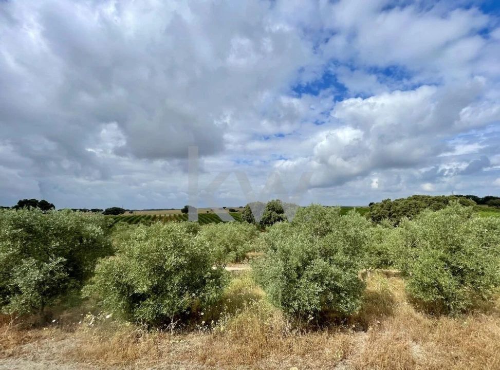 Quinta T10 para Venda em São Cristovão Foto 23