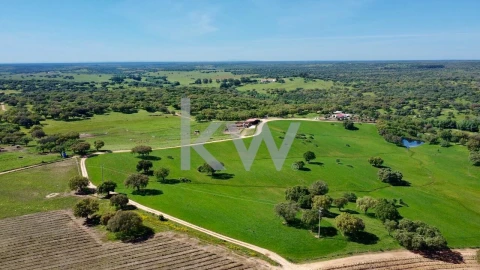 Quinta T10 para Venda em São Cristovão