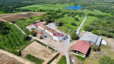 Quinta T10 para Venda em São Cristovão