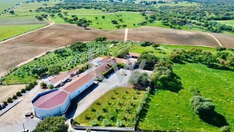 Quinta T10 para Venda em São Cristovão