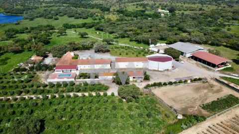 Quinta T10 para Venda em São Cristovão