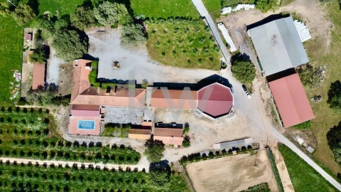 Quinta T10 para Venda em São Cristovão