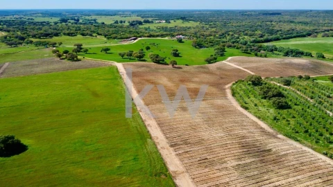Quinta T10 para Venda em São Cristovão