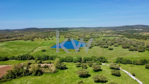 Quinta T10 para Venda em São Cristovão