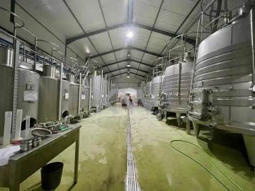 Quinta T10 para Venda em São Cristovão