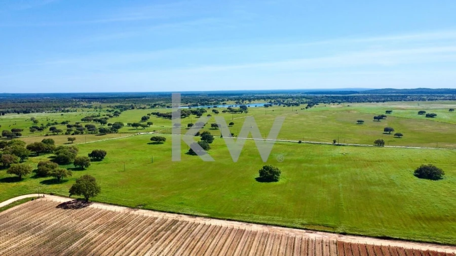 Quinta T10 para Venda em São Cristovão Foto 10