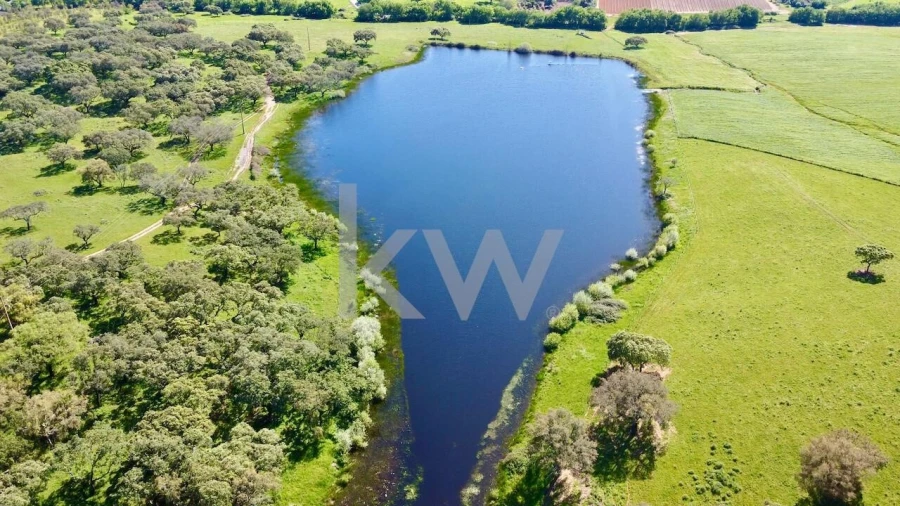 Quinta T10 para Venda em São Cristovão Foto 11