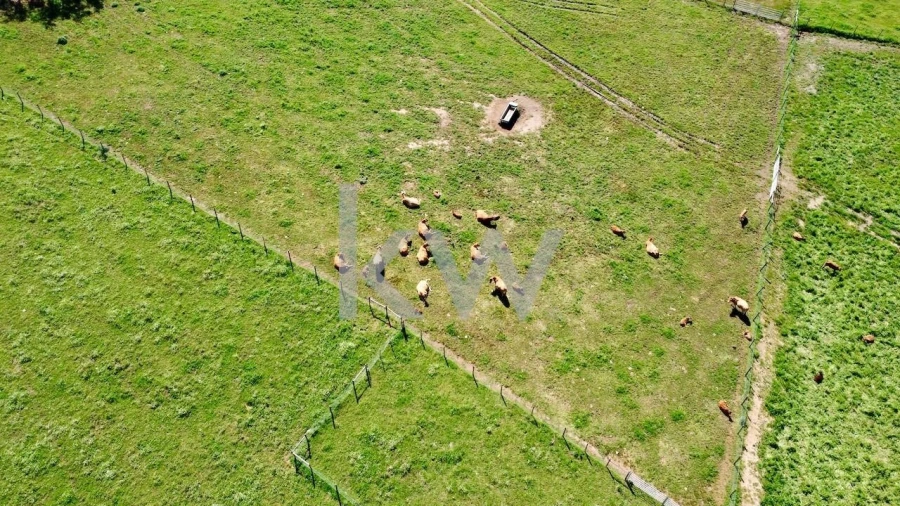 Quinta T10 para Venda em São Cristovão Foto 19