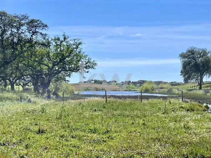 Quinta T10 para Venda em São Cristovão Foto 1