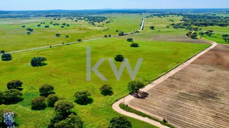 Quinta T10 para Venda em São Cristovão Foto 8