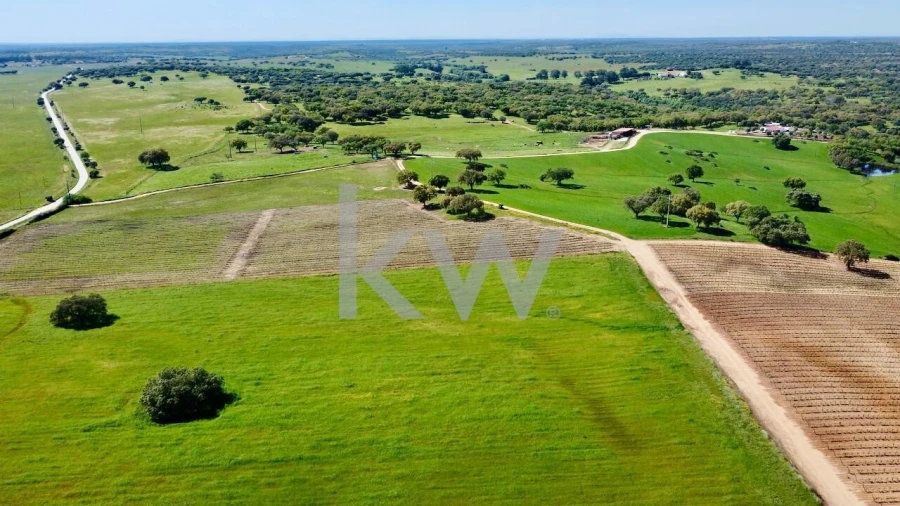 Quinta T10 para Venda em São Cristovão Foto 14