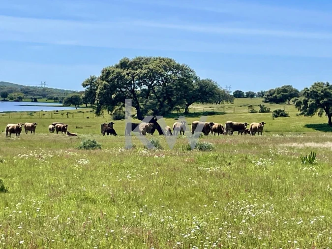 Quinta T10 para Venda em São Cristovão Foto 15