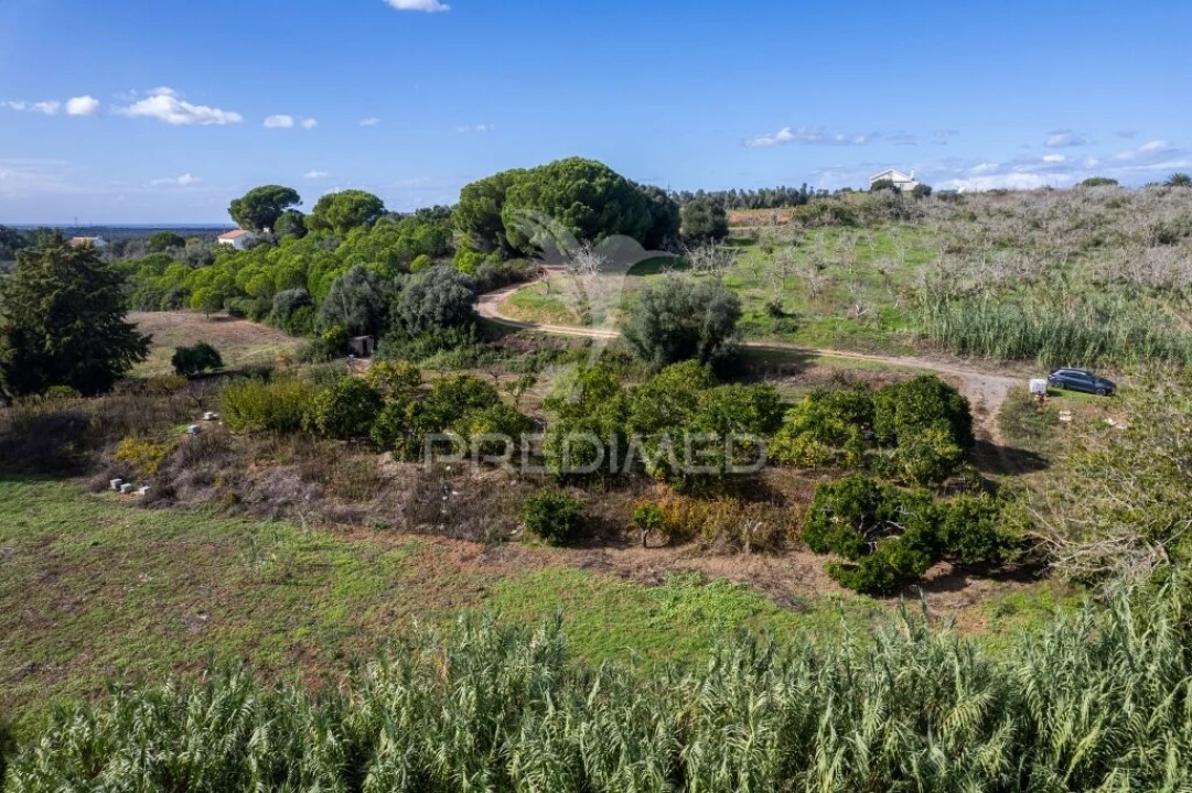 Terreno para Venda em São Francisco da Serra Foto 8