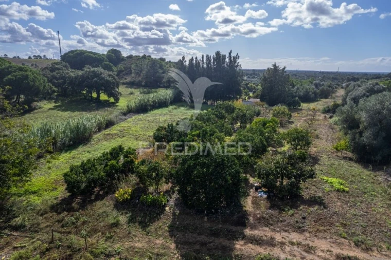 Terreno para Venda em São Francisco da Serra Foto 7