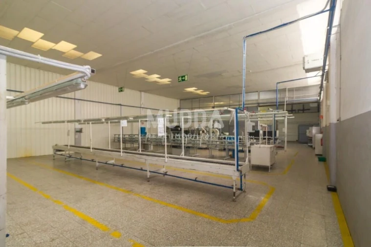 Armazém para Venda em São João da Madeira Foto 18