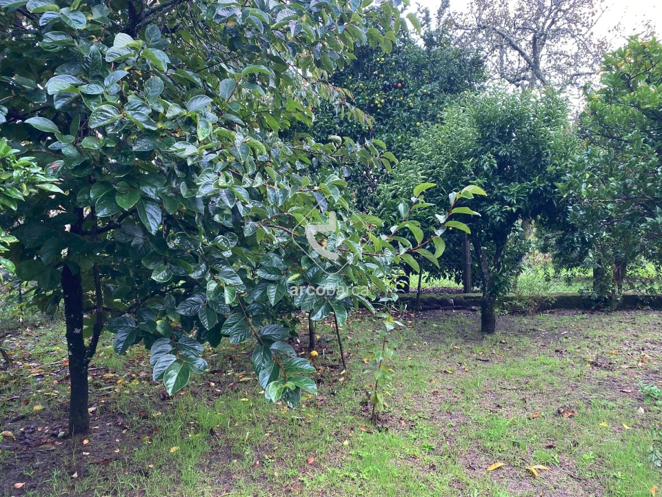 Moradia T2 para Venda em Couto Foto 23