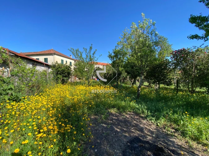 Moradia T2 para Venda em Couto Foto 38