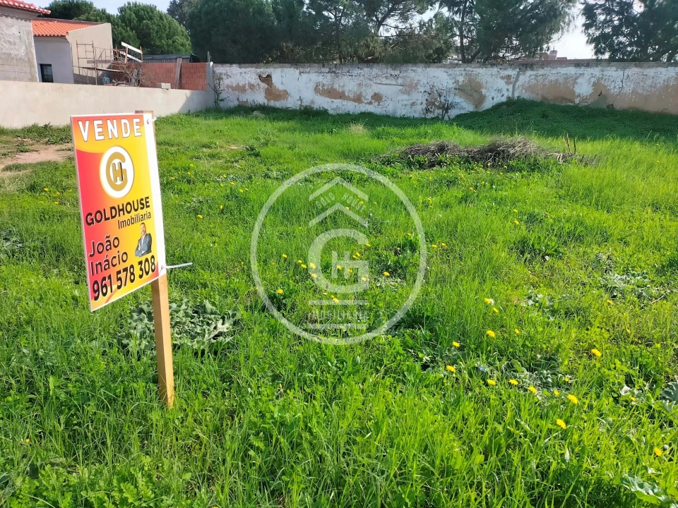 Terreno para Venda em Chamusca e Pinheiro Grande Foto 4