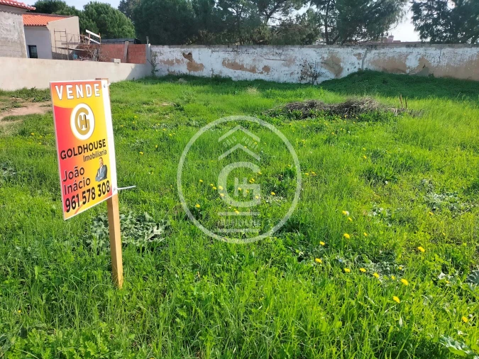 Terreno para Venda em Chamusca e Pinheiro Grande Foto 4