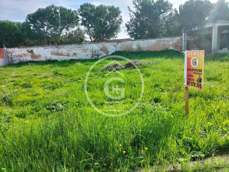 Terreno para Venda em Chamusca e Pinheiro Grande Foto 3