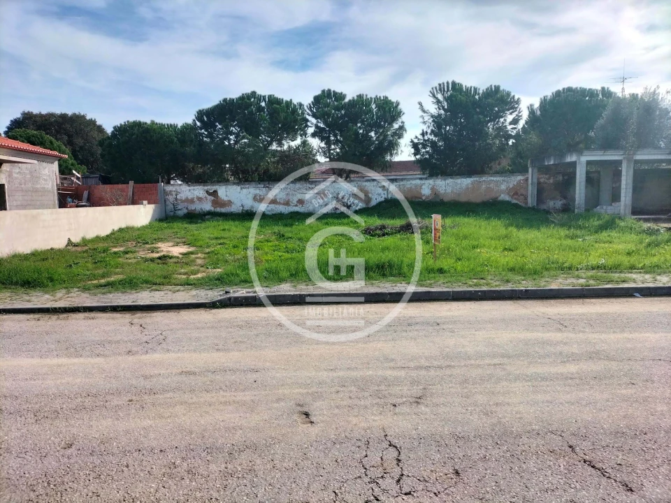 Terreno para Venda em Chamusca e Pinheiro Grande Foto 1