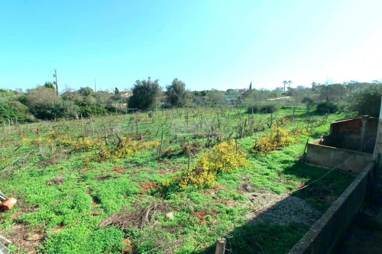Quinta T2 para Venda em Luz Foto 22
