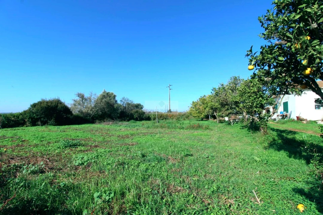 Quinta T2 para Venda em Luz Foto 18