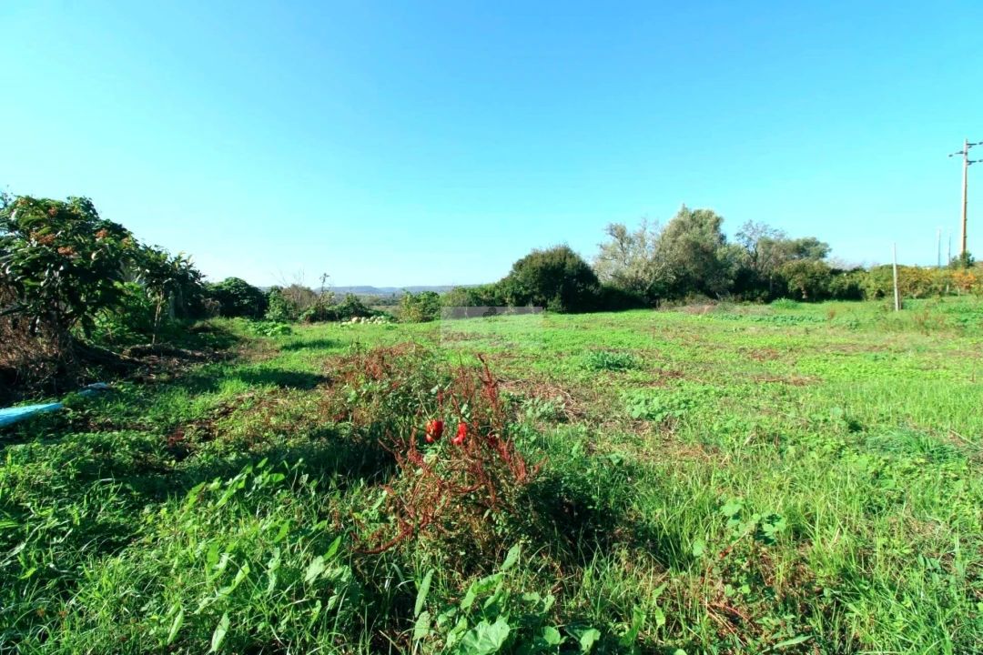 Quinta T2 para Venda em Luz Foto 19