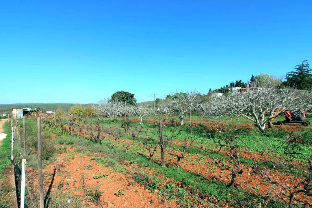 Quinta T2 para Venda em Luz Foto 15