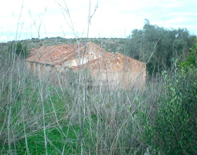 Terreno para Venda em Lagos (São Sebastião e Santa Maria) Foto 11