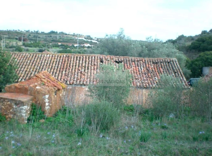 Terreno para Venda em Lagos (São Sebastião e Santa Maria) Foto 13