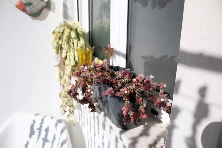 Apartamento T2 para Venda em Tornada e Salir do Porto Foto 26