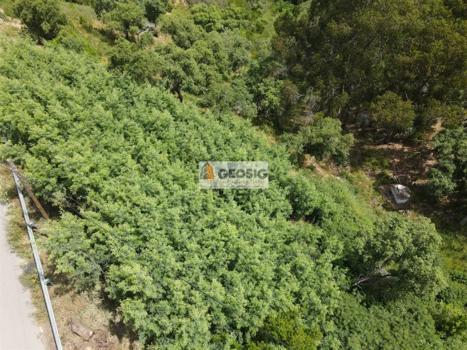 Moradia T3 para Venda em São Barnabe Foto 35