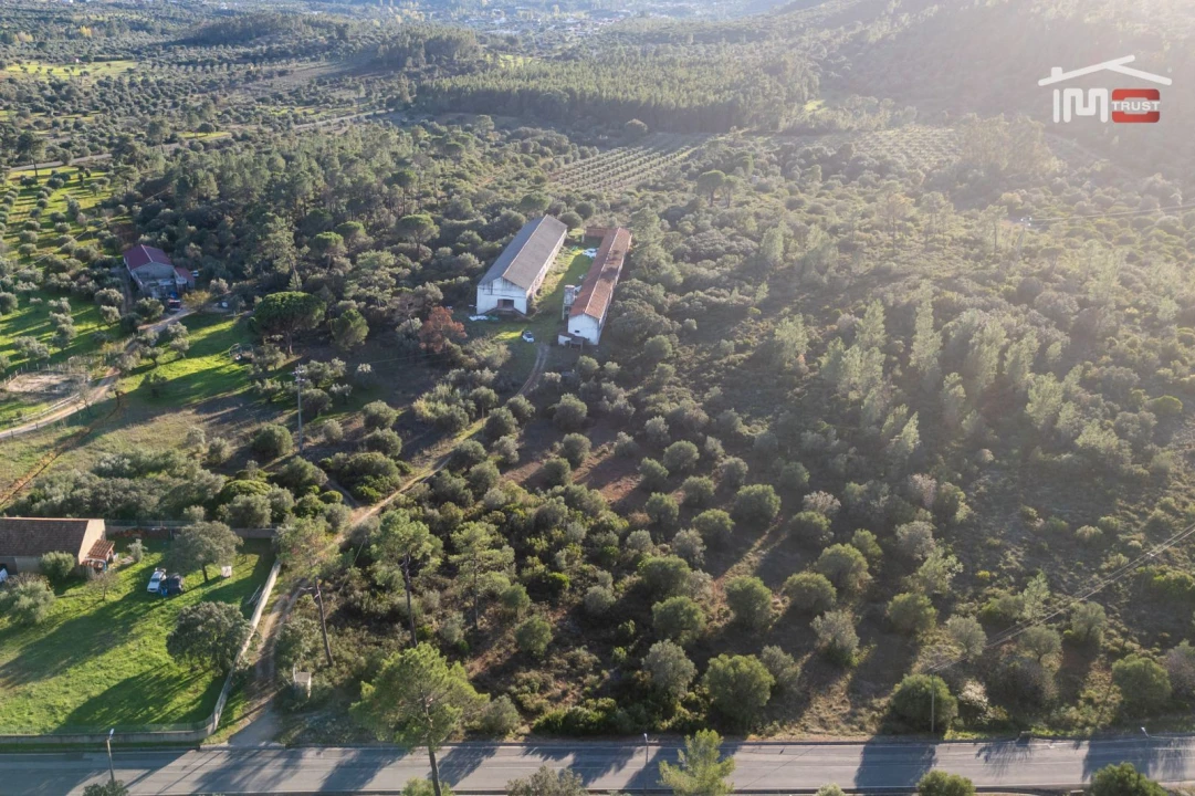 Armazém para Venda em Pedrogão Foto 9