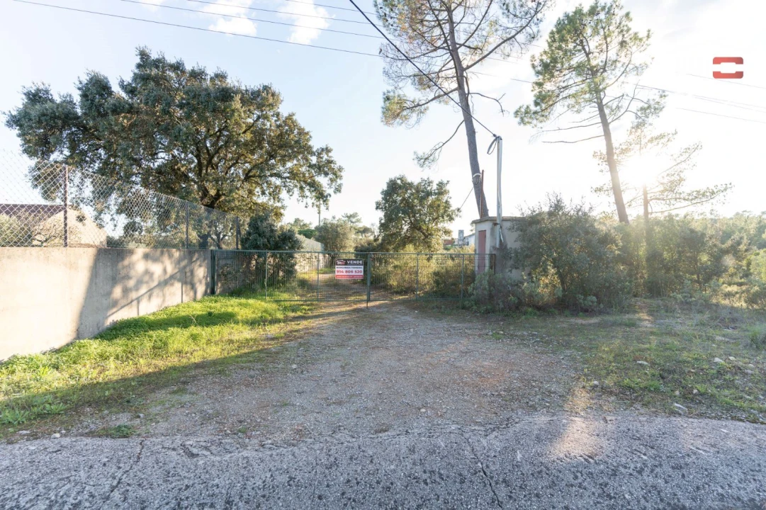 Armazém para Venda em Pedrogão Foto 27