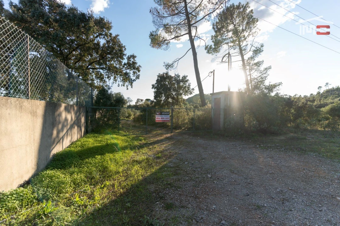 Armazém para Venda em Pedrogão Foto 28