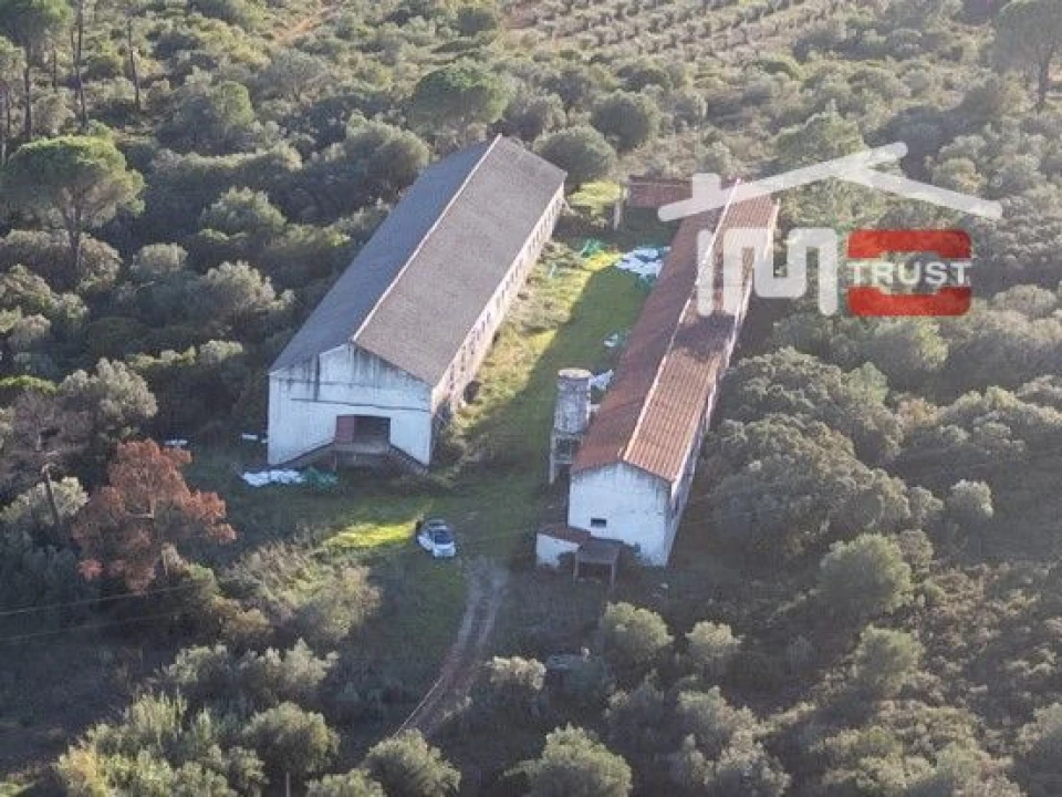 Armazém para Venda em Pedrogão Foto 2