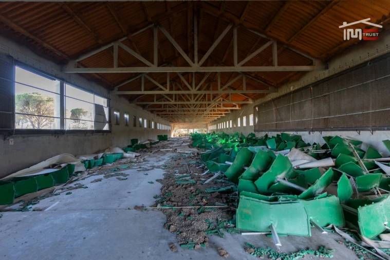 Armazém para Venda em Pedrogão Foto 15