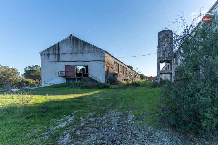 Armazém para Venda em Pedrogão Foto 3