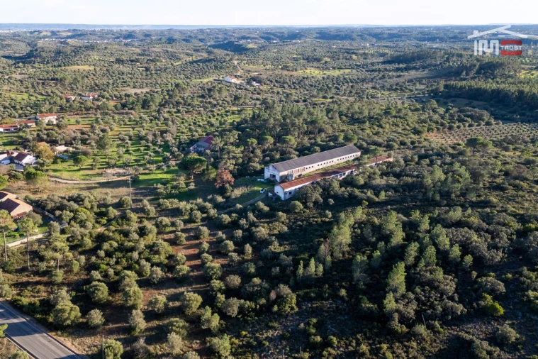 Armazém para Venda em Pedrogão Foto 25