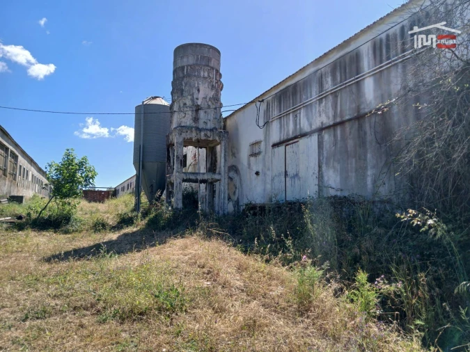 Armazém para Venda em Pedrogão Foto 5