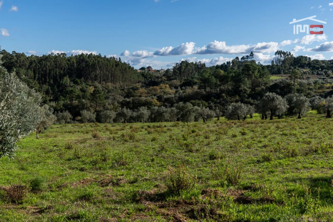 Terreno para Venda em Atouguia Foto 5