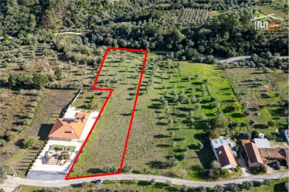 Terreno para Venda em Atouguia