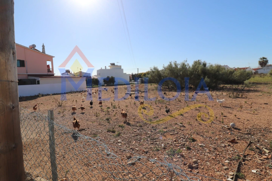 Terreno para Venda em Altura Foto 2