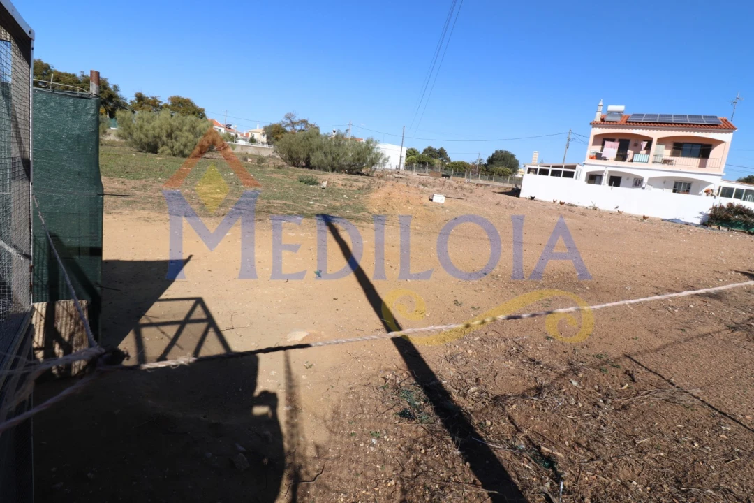 Terreno para Venda em Altura Foto 6