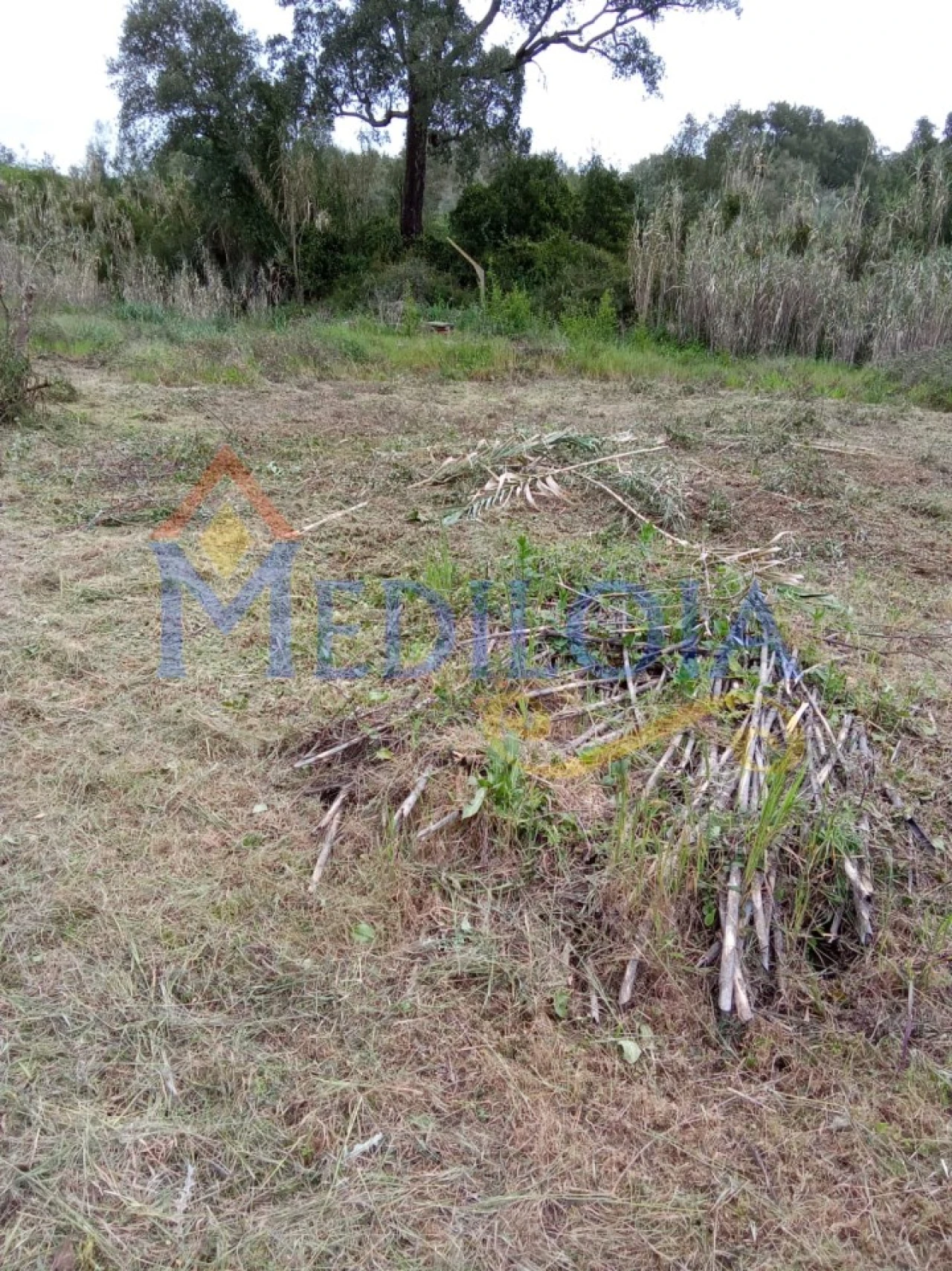 Terreno Agricola ou Rústico para Venda em Asseiceira Foto 1