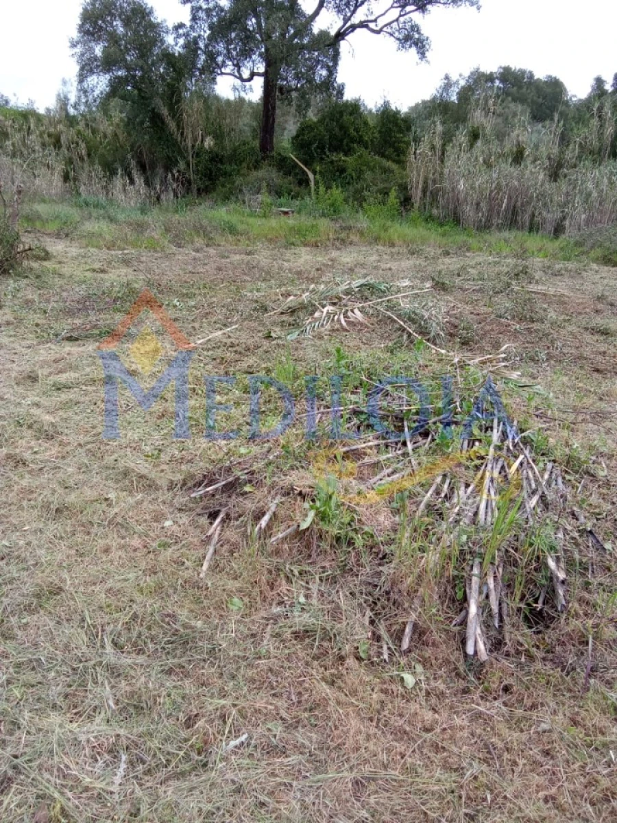Terreno Agricola ou Rústico para Venda em Asseiceira Foto 1