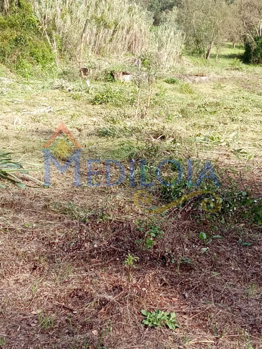 Terreno Agricola ou Rústico para Venda em Asseiceira Foto 4