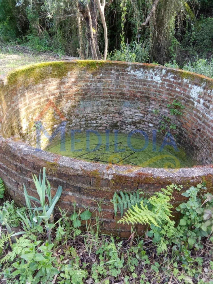 Terreno Agricola ou Rústico para Venda em Asseiceira Foto 5