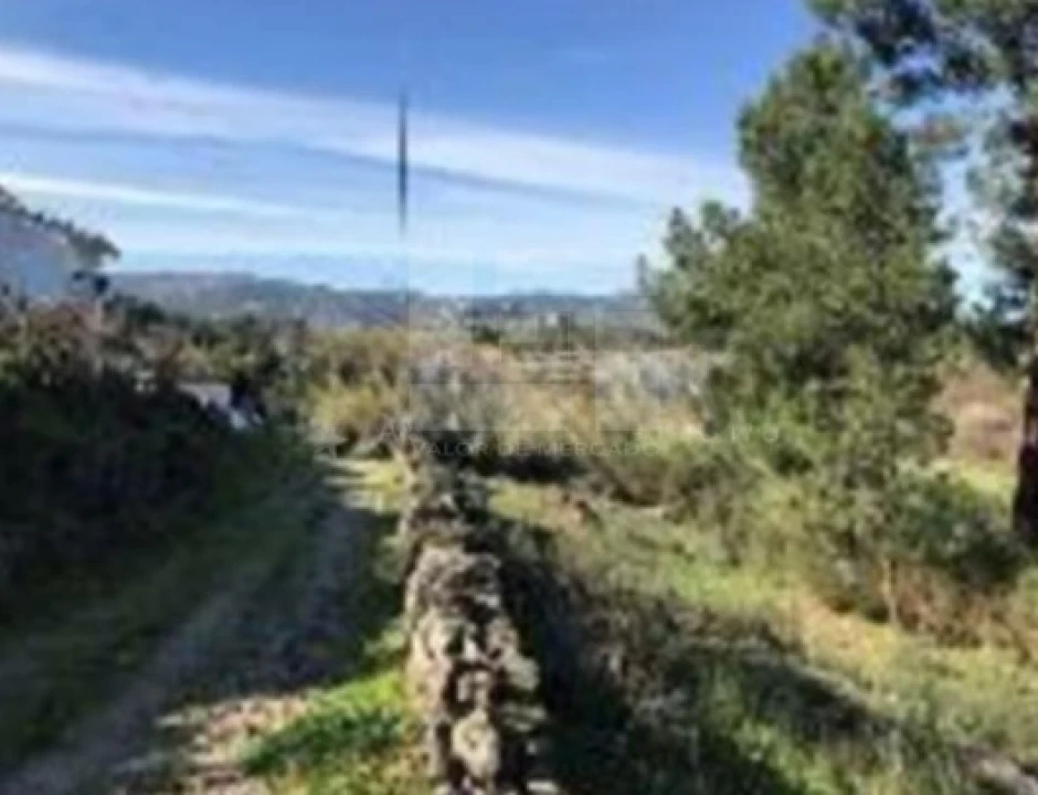 Terreno para Venda em Santa Maria Maior Foto 3